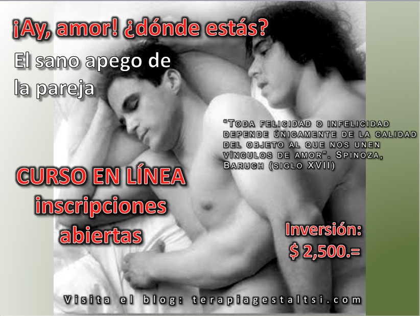 curso_en_linea-relación_homosexual