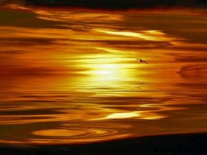 terapia_gestalt_llegar_a_ser_tu_mismo