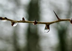 Aceptar las experiencias dolorosas como parte de la vida