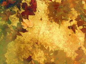 soltar_las_grandes_expectativas