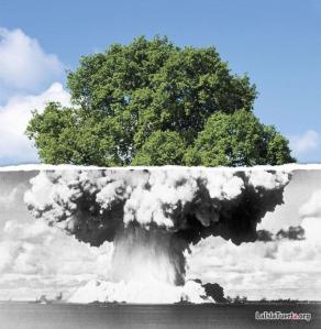 terapia_gestalt_aprender_del_dolor