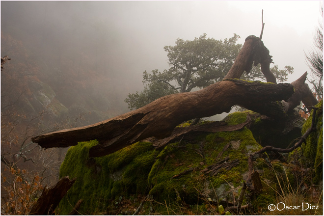 riesgo_de_ser_derribado