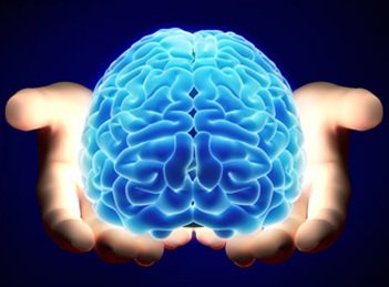 curso_meditación_gestalt_mindfulness_cerebro_emociones