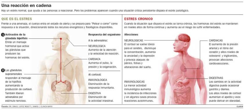estres_crónico