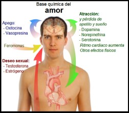 química_amor