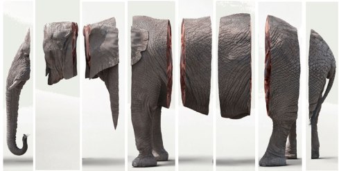 terapia_gestalt_presencial_y_en_línea