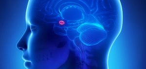 experiencia_traumatizante_tumor_hipofisiario_terapeuta_gestalt_