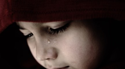 terapia_gestalt_luis_fernando_martinez_gomez