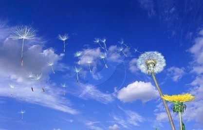 terapia_desapego_gestalt_Luis_Fernando_Martïnez_terapeuta